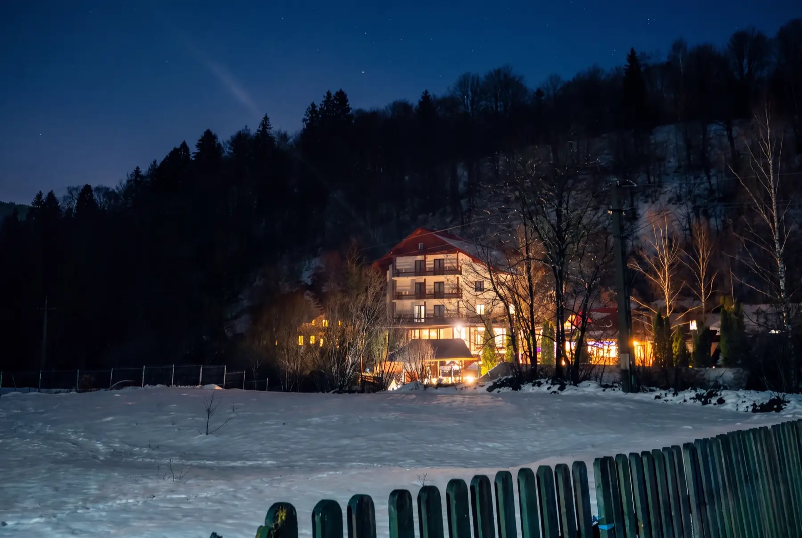 Rare Forest Retreat