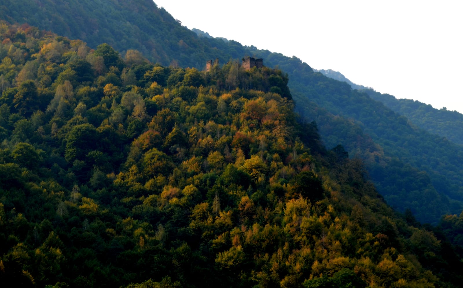 Cetatea Colț