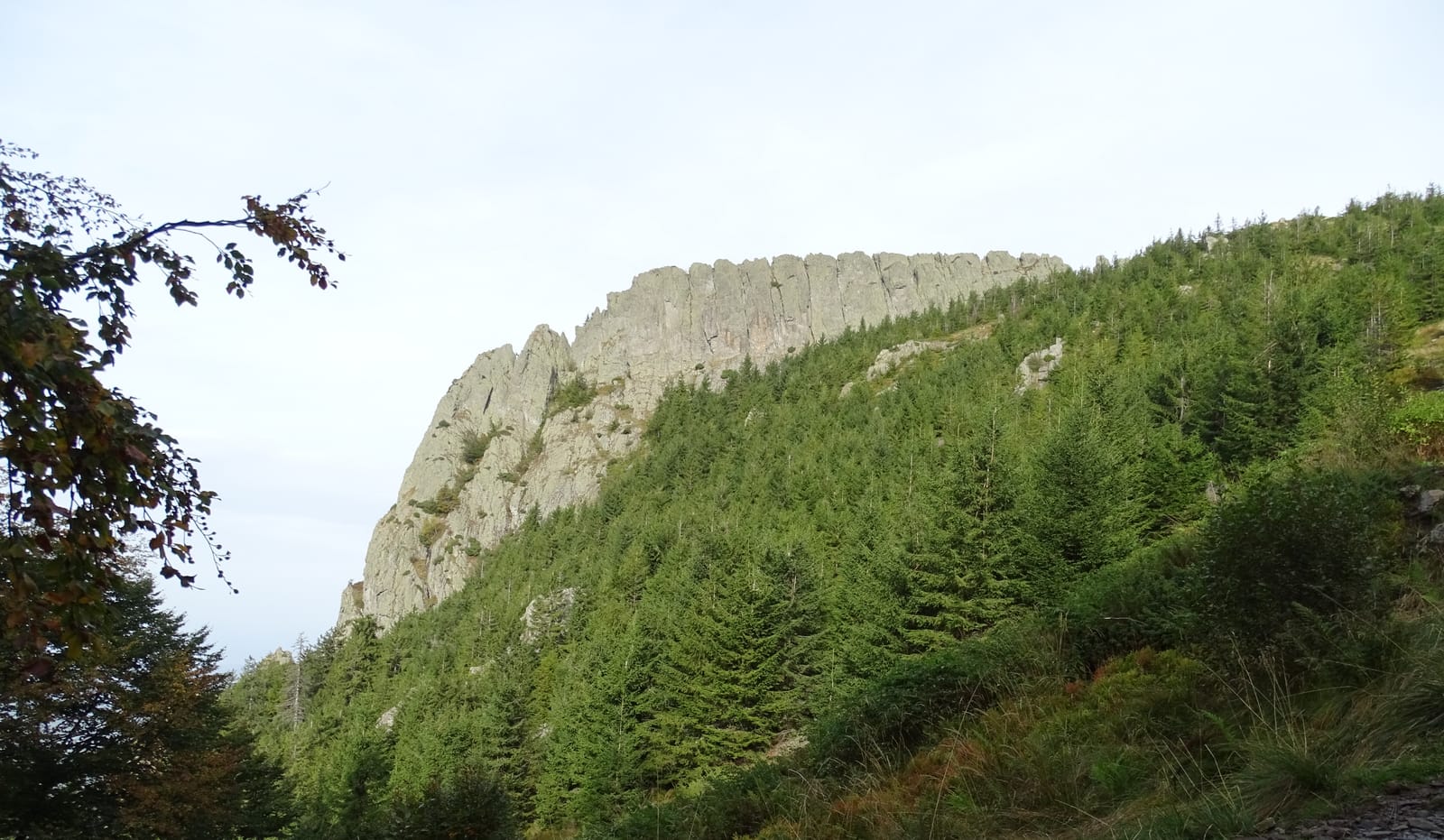Creasta Cocoșului (Rezervația Gutâi)