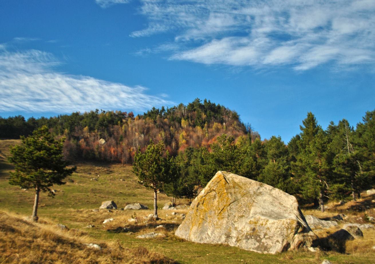 Culmea Ivănețu