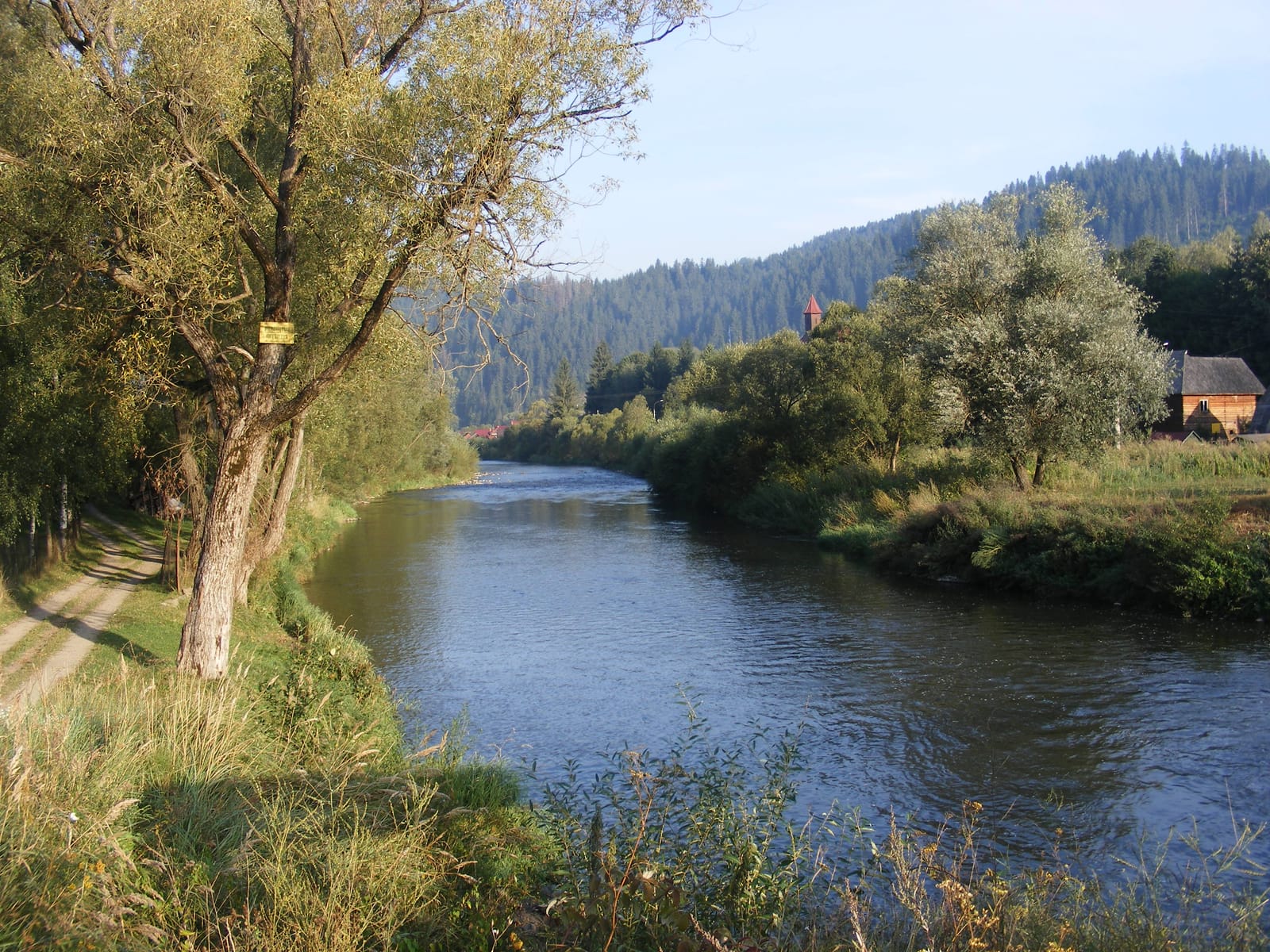 Parcul Natural Defileul Mureșului Superior