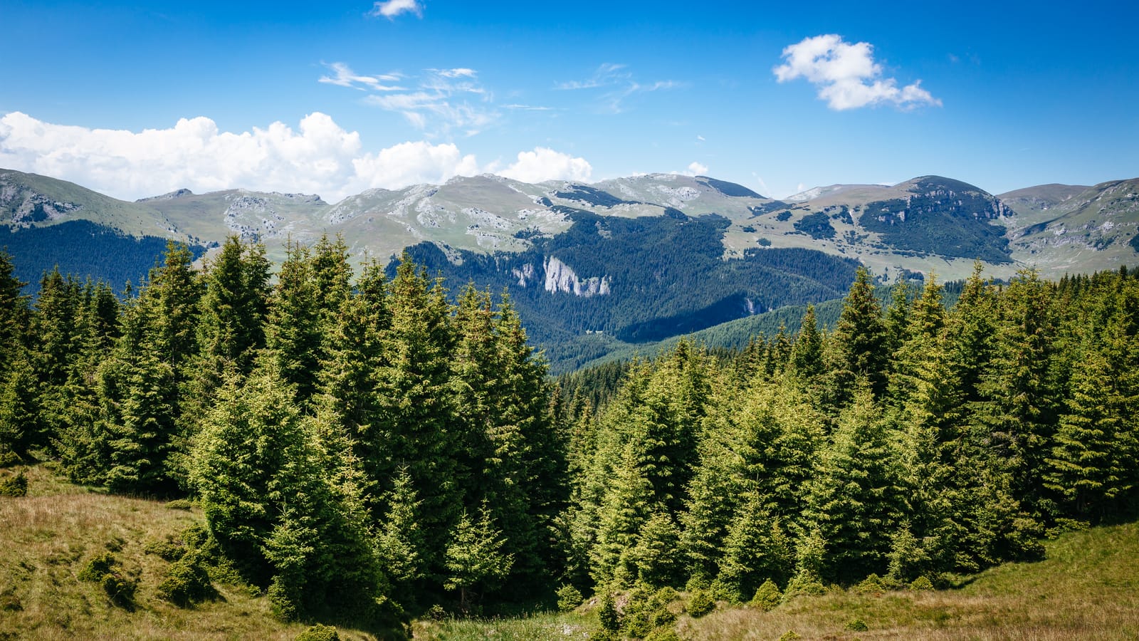 Platoul Padina — Peștera
