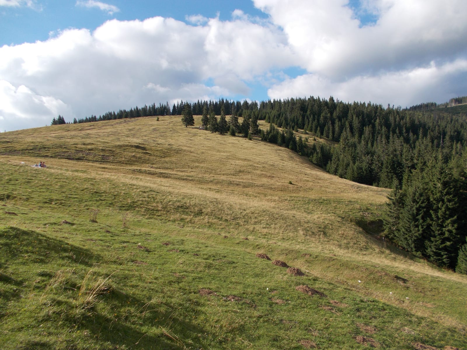 Platoul Padiș