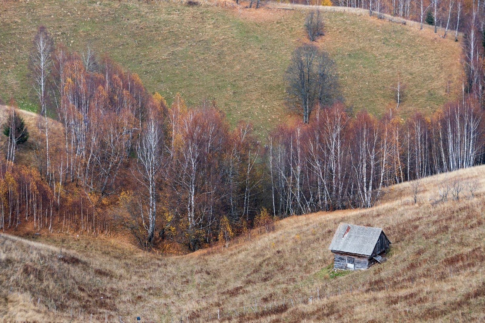 Satul Șirnea